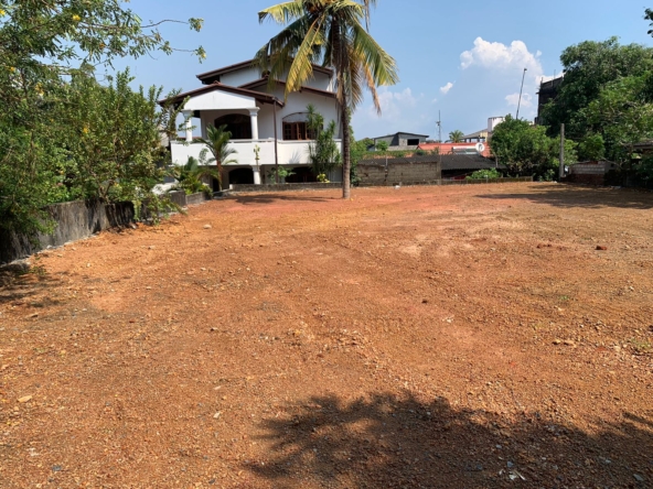 WhatsApp Image 2024 05 30 at 10.24.58 PM