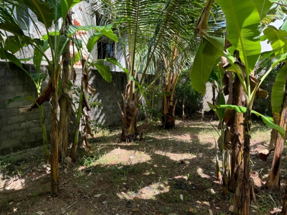 WhatsApp Image 2024 10 16 at 1.24.39 PM 1