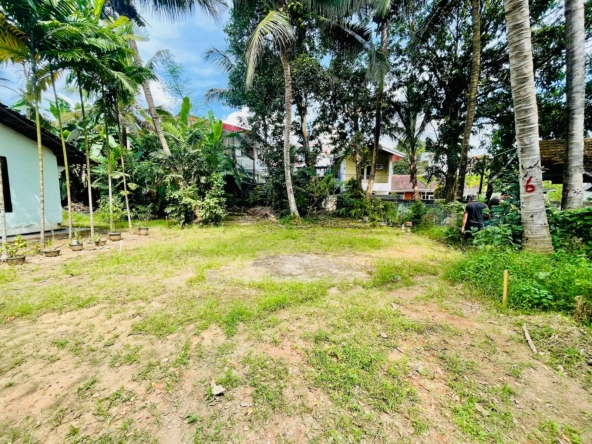 WhatsApp Image 2024 12 29 at 12.43.21 AM 1