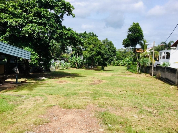 WhatsApp Image 2025 03 06 at 6.05.32 AM 1