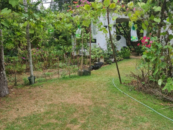 WhatsApp Image 2025 05 11 at 11.14.35 AM 2