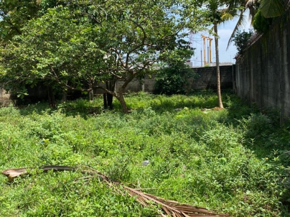 WhatsApp Image 2025 12 20 at 8.50.41 PM