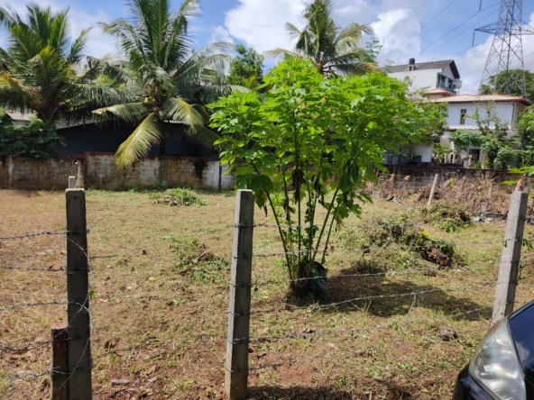 WhatsApp Image 2025 12 31 at 1.21.33 PM