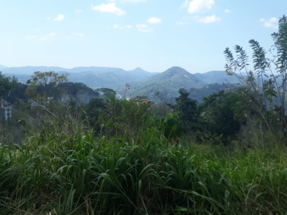 WhatsApp Image 2026 01 14 at 1.50.01 PM